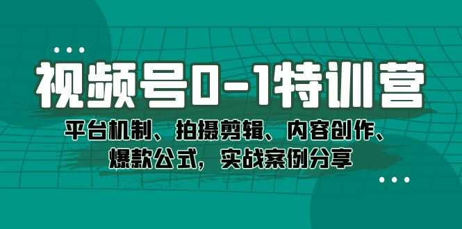（7373期）视频号从0到1特训营：搞懂平台规则、拍好剪好、内容创作、爆款套路，真实案例拆解-安索博客网