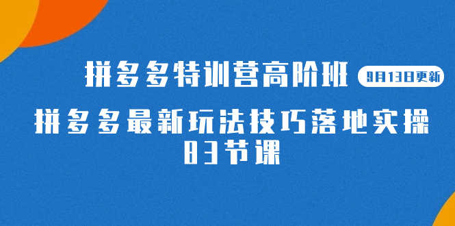 2023拼多多特训营高阶班（7295期）【9月13日更新】拼多多最新玩法落地实操，足足83节课-安索博客网