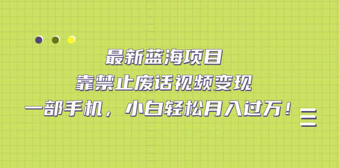 最近超火的“禁止废话”视频项目，一部手机就能干，小白也能月入过万！-安索博客网
