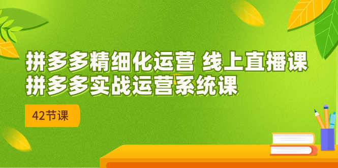 （7151期）2023年8月新课-拼多多精细化运营 线上直播课：拼多多实战运营系统课-42节-安索博客网
