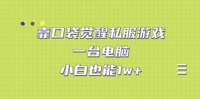 （7113期）靠口袋觉醒私服游戏，一台电脑，小白也能1w+（教程+工具+资料）-安索博客网