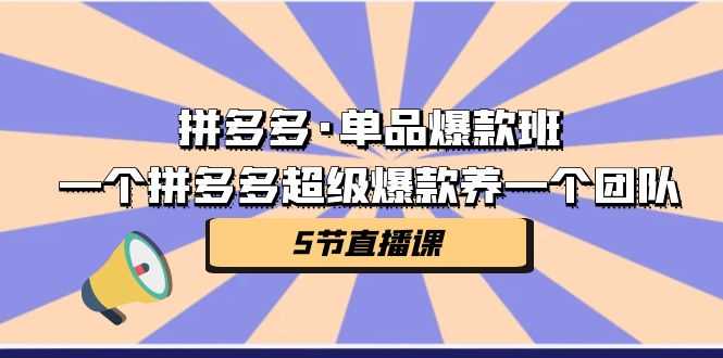 （7019期）拼多多·单品爆款班，一个拼多多超级爆款养一个团队（5节直播课）-安索博客网