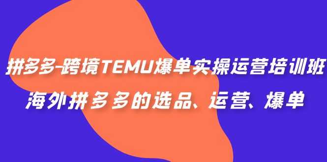 （6934期）拼多多-跨境TEMU爆单实操运营培训班，海外拼多多的选品、运营、爆单-安索博客网
