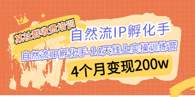 （6924期）某社群收费培训：自然流IP 孵化手-14天线上实操训练营 4个月变现200w-安索博客网