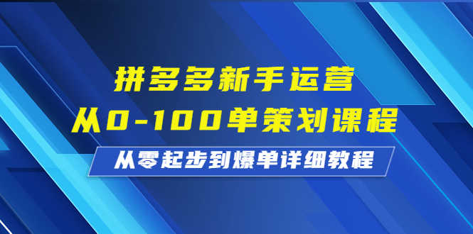 （6920期）拼多多新手运营从0-100单策划课程，从零起步到爆单详细教程-安索博客网