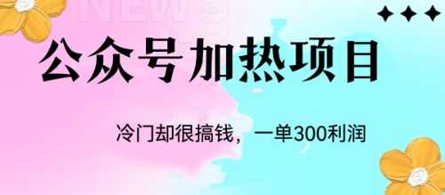 （6916期）冷门公众号加热项目，一单利润300+-安索博客网