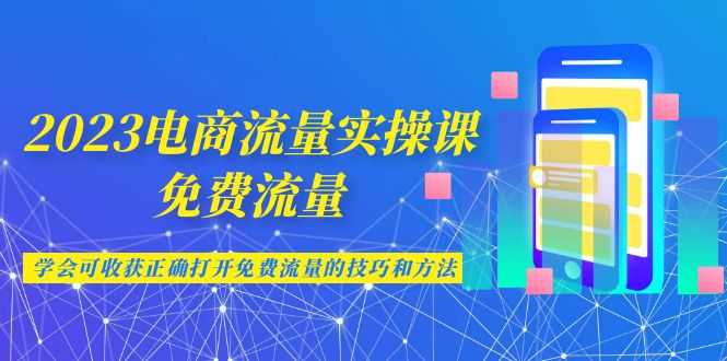 （6880期）2023电商流量实操课-免费流量，学会可收获正确打开免费流量的技巧和方法-安索博客网