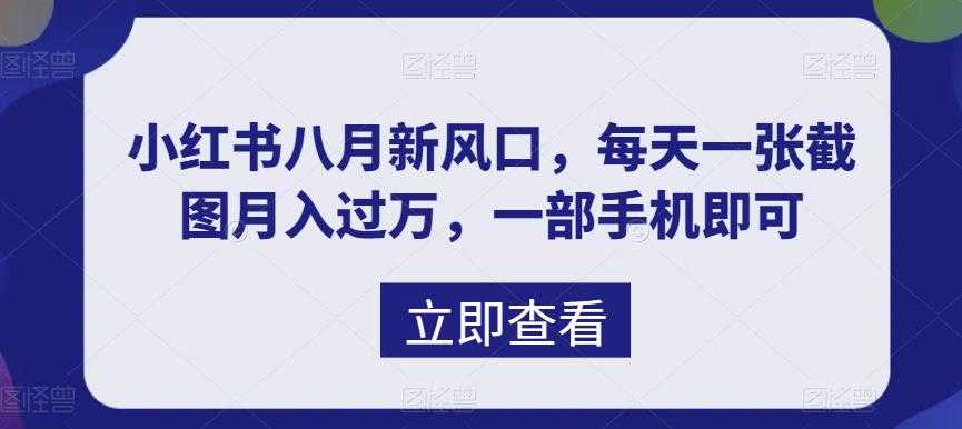 （6851期）八月新风口，小红书虚拟项目一天收入1000+，实战揭秘-安索博客网