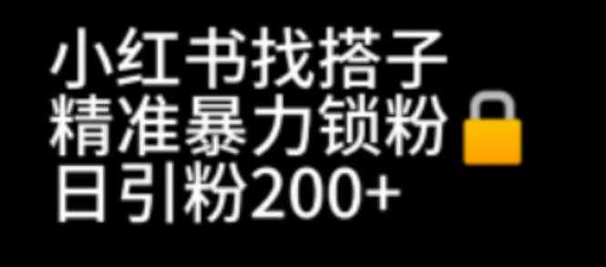 （6807期）小红书找搭子暴力精准锁粉+引流日引200+精准粉-安索博客网