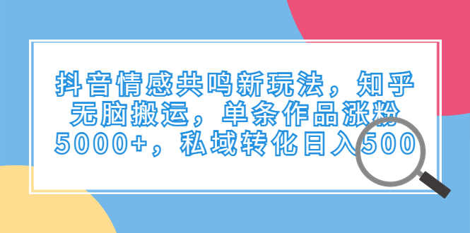（6758期）抖音情感共鸣新玩法，知乎无脑搬运，单条作品涨粉5000+，私域转化日入500-安索博客网