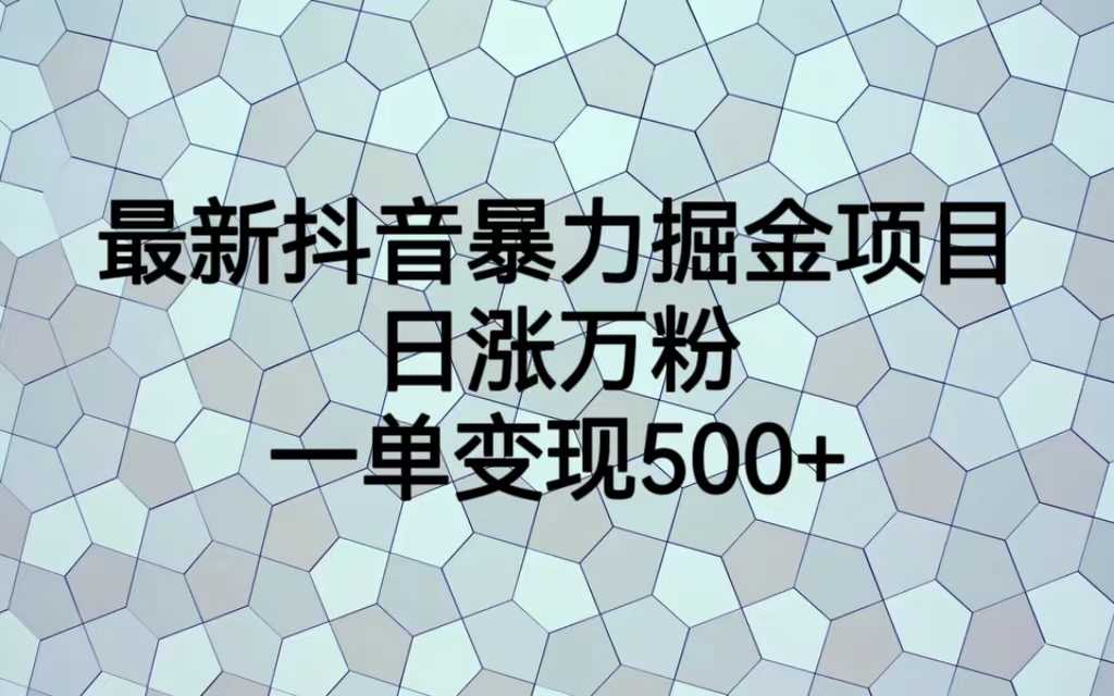 （6660期）最新抖音暴力掘金项目，日涨万粉，一单变现500+-安索博客网
