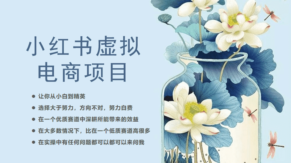 （6607期）小红书虚拟电商从0到1，让你从小白到精英（20节实操课程）-安索博客网
