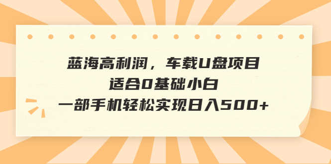 （6600期）蓝海高利润，车载U盘项目，适合0基础小白，一部手机轻松实现日入500+-安索博客网