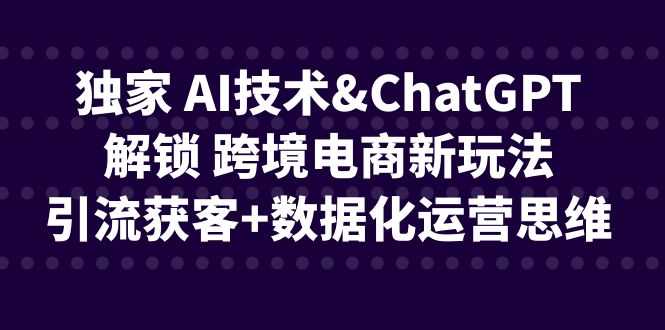 （6599期）独家 AI技术&ChatGPT解锁 跨境电商新玩法，引流获客+数据化运营思维-安索博客网