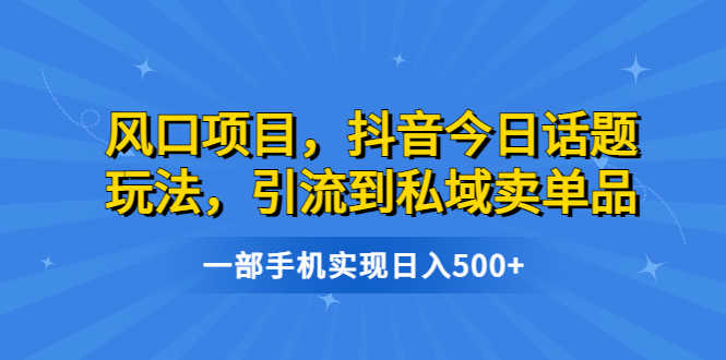 （6588期）风口项目，抖音今日话题玩法，引流到私域卖单品，一部手机实现日入500+-安索博客网