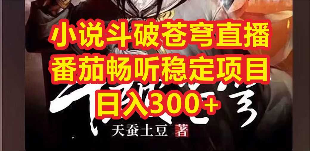 （6584期）小说斗破苍穹直播，番茄畅听日入300+稳定项目-安索博客网