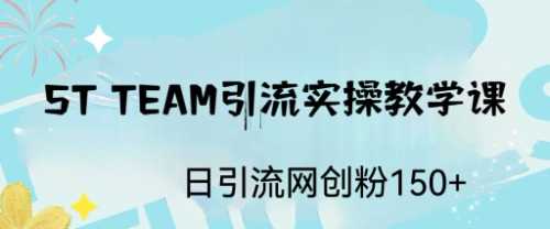 （6578期）ST TEAM引流实操课，日引流网创粉100+-安索博客网