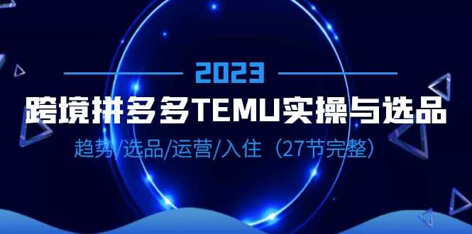 （6550期）2023跨境·拼多多·TEMU实操与选品，趋势·选品·运营·入住（27节完整）-安索博客网