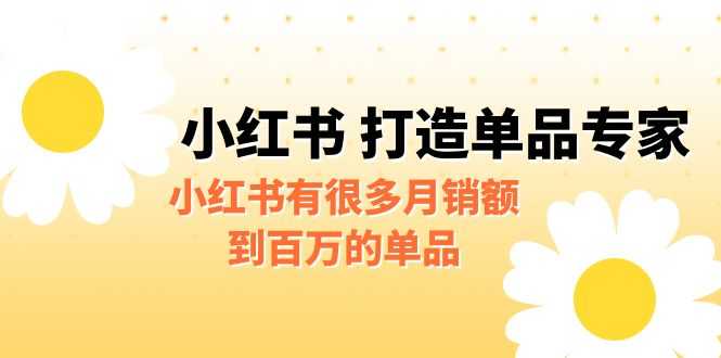 （6541期）某公众号付费文章《小红书 打造单品专家》小红书有很多月销额到百万的单品-安索博客网