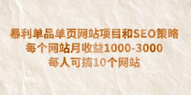 （6503期）暴利单品单页网站项目和SEO策略  每个网站月收益1000-3000  每人可搞10个-安索博客网