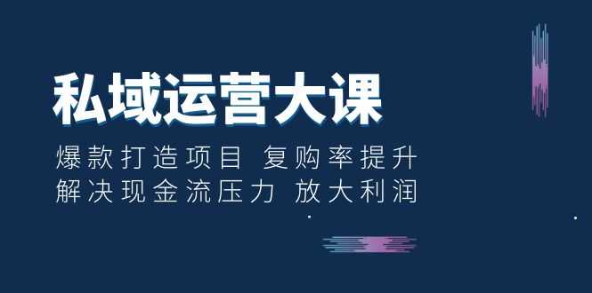 （6456期）私域运营大课：爆款打造项目 复购率提升 解决现金流压力 放大利润-安索博客网