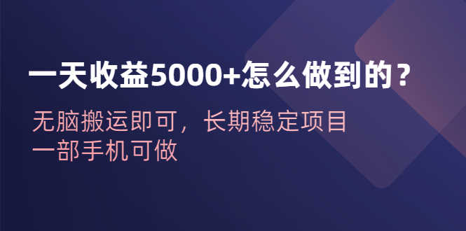 （6435期）一天收益5000+怎么做到的？无脑搬运即可，长期稳定项目，一部手机可做-安索博客网