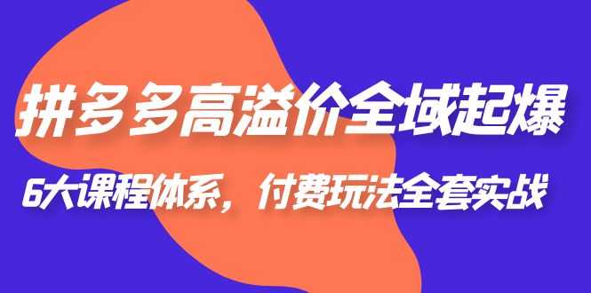 （6297期）拼多多-高溢价 全域 起爆，6大课程体系，付费玩法全套实战！-安索博客网