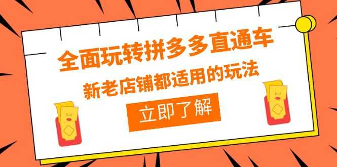 （6294期）全面玩转拼多多直通车，新老店铺都适用的玩法（12节精华课）-安索博客网