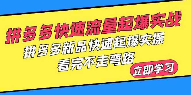（6253期）拼多多-快速流量起爆实战，拼多多新品快速起爆实操，看完不走弯路-安索博客网