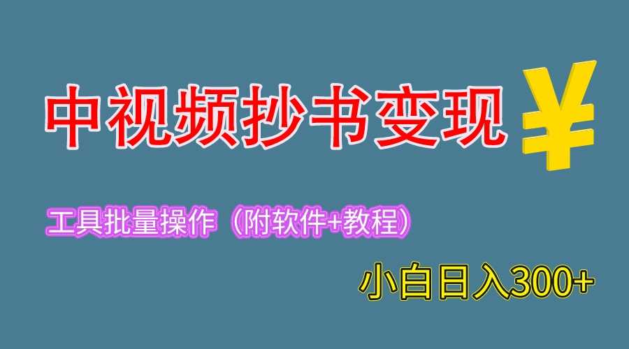（6246期）2023中视频抄书变现（附工具+教程），一天300+，特别适合新手操作的副业-安索博客网