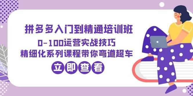 （6243期）2023拼多多入门到精通培训班：0-100运营实战技巧 精细化系列课带你弯道超车-安索博客网