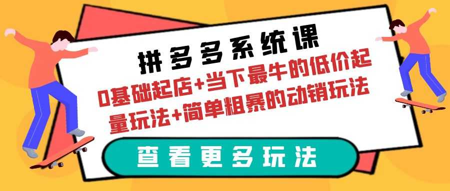 （6217期）拼多多系统课：0基础起店+当下最牛的低价起量玩法+简单粗暴的动销玩法-安索博客网