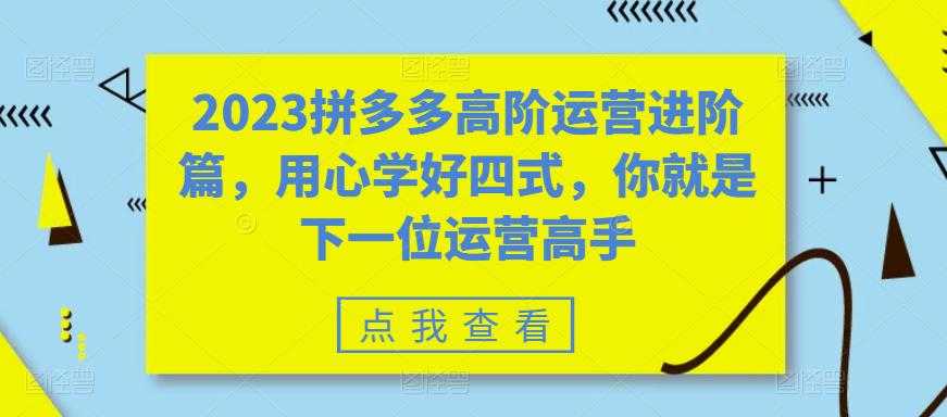 （6193期）2023拼多多高阶运营进阶篇，用心学好四式，你就是下一位运营高手-安索博客网