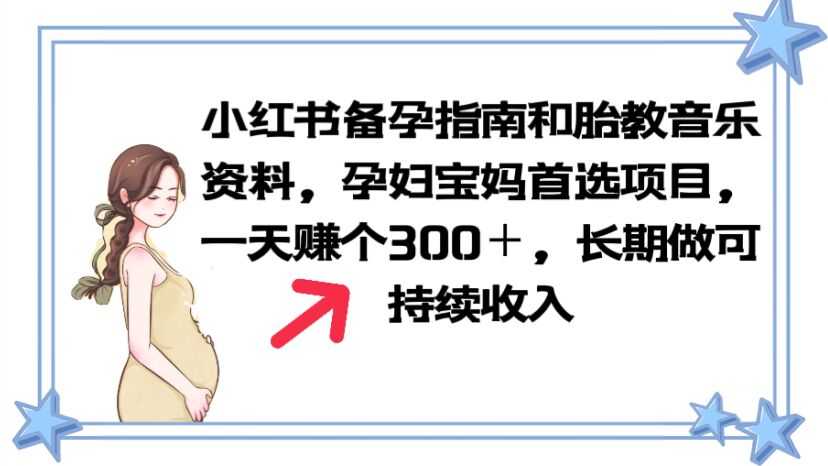 （6114期）小红书备孕指南和胎教音乐资料 孕妇宝妈首选项目 一天赚个300＋长期可做-安索博客网