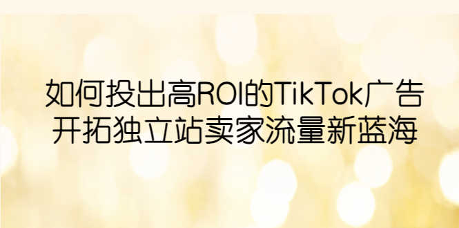 （6102期）如何投出高ROI·TikTok广告，开拓独立站卖家流量新蓝海-安索博客网