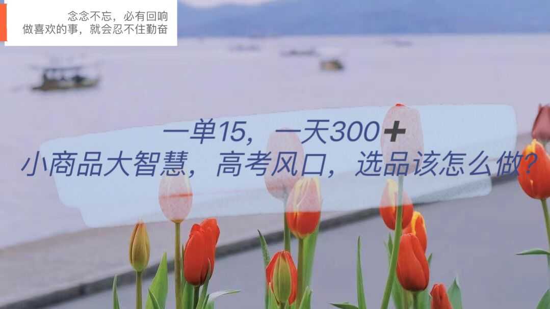（6077期）一单15，一天300+，小商品大智慧，高考风口，选品该怎么布局-安索博客网