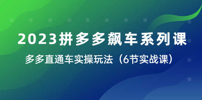（6030期）2023拼多多飙车系列课，多多直通车实操玩法（6节实战课）-安索博客网