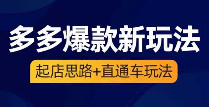 （6028期）2023拼多多爆款·新玩法：起店思路+直通车玩法（3节精华课）-安索博客网