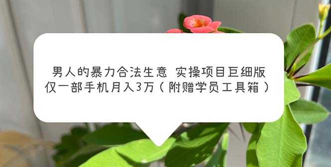 （5962期）男人的暴力合法生意实操项目巨细版：仅一部手机月入3w（附赠学员工具箱）-安索博客网