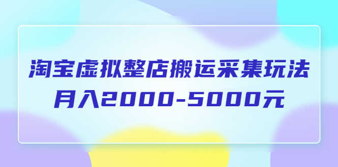 （5931期）淘宝虚拟整店搬运采集玩法分享课：月入2000-5000元（5节课）-安索博客网