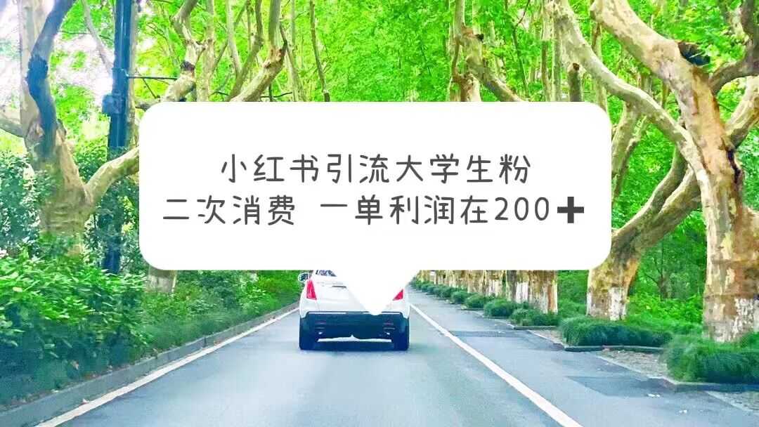 （5914期）小红书引流大学生粉，变现项目，一单利润在200+（教程+资源）-安索博客网