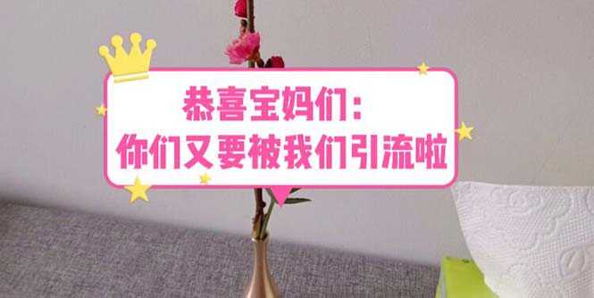 （5891期）恭喜宝妈们：你们又要被我们引流了（教程+222g资料）-安索博客网