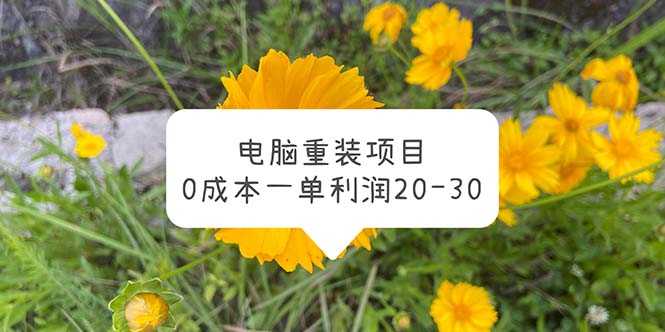 （5882期）电脑系统重装项目，0成本一单利润20-30-安索博客网