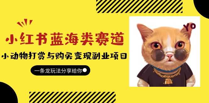 （5867期）小红书蓝海类赛道：小动物打赏与购买变现副业项目，一条龙玩法分享给你！-安索博客网
