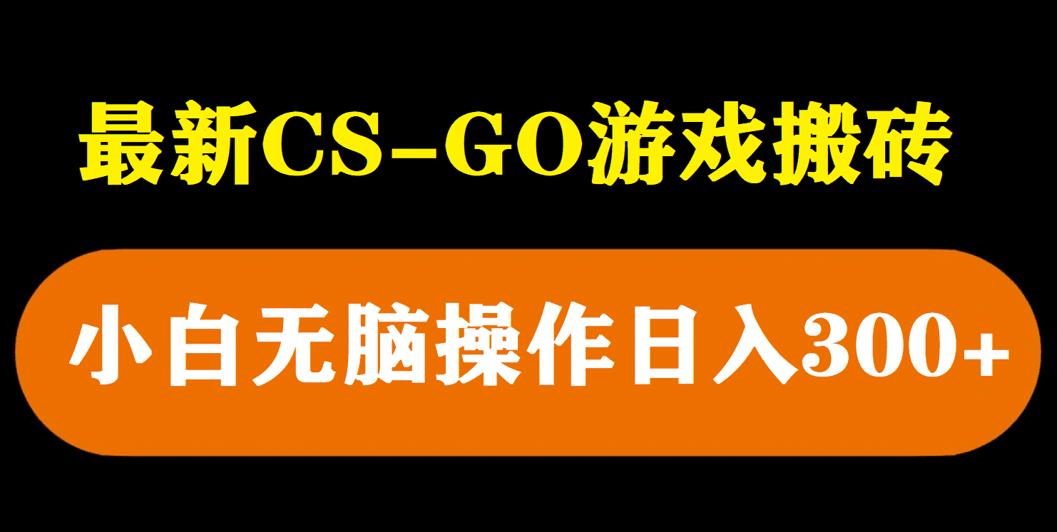 （5760期）最新csgo游戏搬砖游戏，无需挂机小白无脑也能日入300+-安索博客网