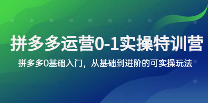 （5747期）拼多多-运营0-1实操训练营，拼多多0基础入门，从基础到进阶的可实操玩法-安索博客网