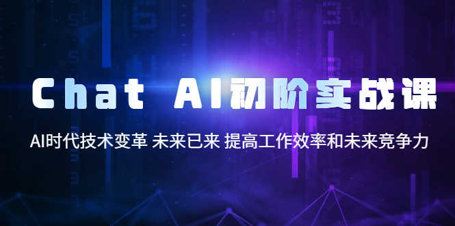 （5610期）Chat AI初阶实战课，AI时代技术变革 未来已来 提高工作效率和未来竞争力-安索博客网