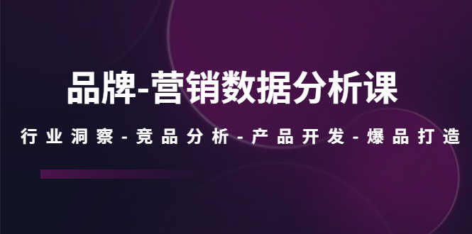 （5565期）品牌-营销数据分析课，行业洞察-竞品分析-产品开发-爆品打造-安索博客网