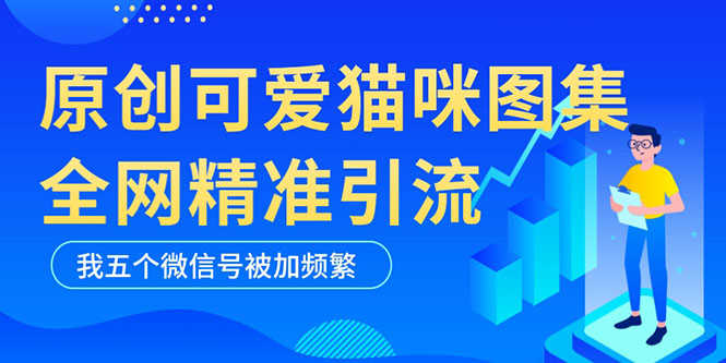 （5498期）黑科技纯原创可爱猫咪图片，全网精准引流，实操5个VX号被加频繁-安索博客网