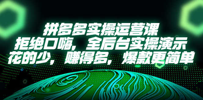 （5423期）拼多多实操运营课：拒绝口嗨，全后台实操演示，花的少，赚得多，爆款更简单-安索博客网